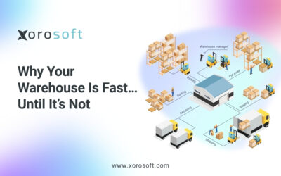 Warehouse team solving efficiency issues with ERP