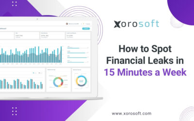 ERP dashboard showing financial leak alerts – financial leaks in ERP systems