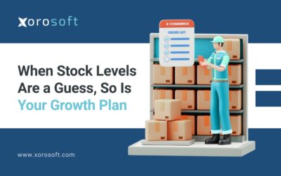 Dashboard showing inventory visibility for scaling businesses