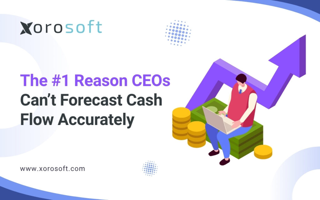 Real-time cash flow dashboard for CEOs using Xorosoft ERP