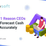 Real-time cash flow dashboard for CEOs using Xorosoft ERP
