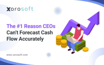 Real-time cash flow dashboard for CEOs using Xorosoft ERP
