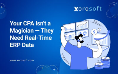 CPA reviewing real-time ERP dashboard with inventory data
