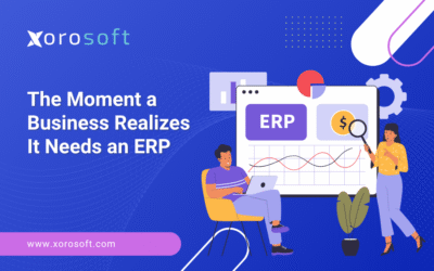 when to switch to ERP system for ecommerce business growth