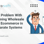 Wholesale and ecommerce separate systems workflow diagram
