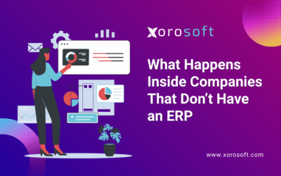 life without ERP system showing disconnected inventory and accounting tools