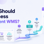 When to implement WMS for growing ecommerce warehouse operations